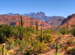 western adventure tours las vegas