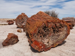 route 66 mustang tours