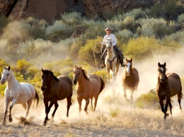 route 66 mustang tours